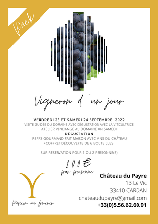 vigneron d'un jour, atelier vendange, vendanges avec vigneron, participer aux vendanges, comment participer à des vendanges, faire vendanges sur Bordeaux, vendange avec vigneron sur bordeaux, pack vendange