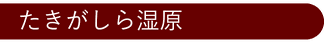 たきがしら湿原