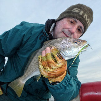 Yellowfin Croaker caught with a Chartreuse/White Clouser Minnow.