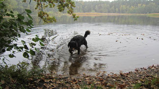 Abbaden