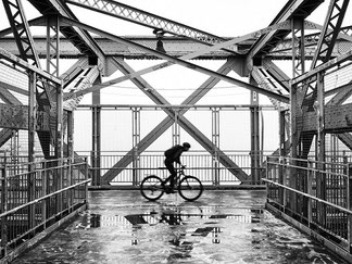Specialized e-Bikes und e-MTBs in der e-motion e-Bike Welt Wiesbaden kaufen