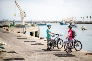 Haibike e-Bikes und Pedelecs in der e-motion e-Bike Welt in Wiesbaden kaufen