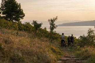 Specialized e-Bikes und e-MTBs in der e-motion e-Bike Welt Erding kaufen