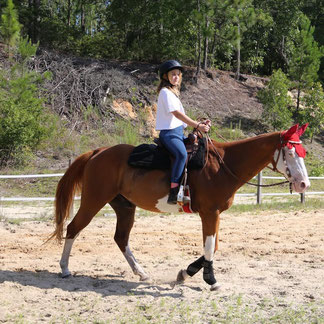 Miss Ashley is training with her personal horse 
