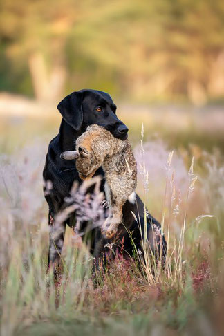 Foto: MandyKöhlerTierfotografie