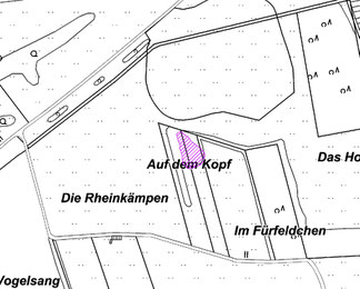 1105 Gehölzanpflanzung