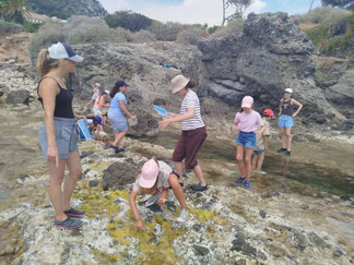 Les élèves à la Pointe des douaniers à Cap-d'Ail