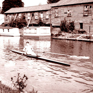 Ruderer beim Training auf dem Cham-River