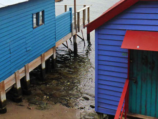 Boat sheds at Cornelian Bay