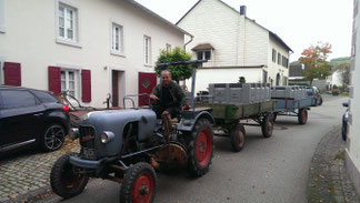 Wiltinger Riesling, Traubenlese an der Saar, Felix Weber, Winzer Bereich Saar Anbaugebiet Mosel