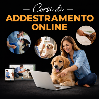 Corsi di addestramento Online