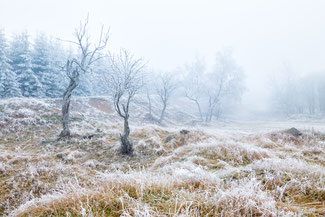 Ore mountains, Czech republic, ©2020