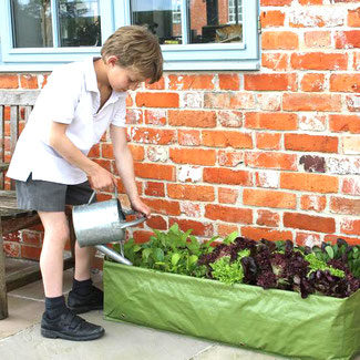 Der Pflanzsack "Kleines Beet" ist ideal für die Anzucht von Salaten, Radieschen und Gewürzen bei www.the-golden-rabbit.de