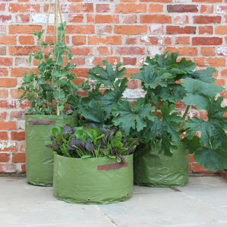 Pflanzsäcke für die Terrasse; für Gemüse und Salate bei www.the-golden-rabbit.de