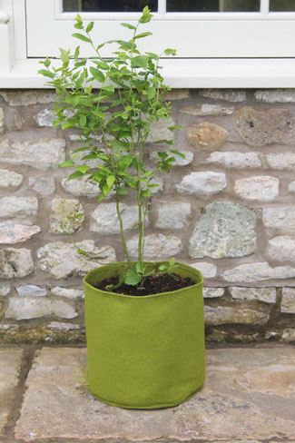 Urban Gardening Vigoroot Pflanztasche - Pflanzsack 20 Liter bei www.thze-golden-rabbit.de