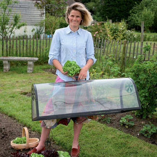 Die große Garten-Cloche ist ein großartiger Helfer im frühsommerlichen Garten. Sie schützt zarte Pflanzen vor Schädlingen, fördert das Wachtum und unterstützt die Reifung. Bei www.the-golden-Rabbit.de