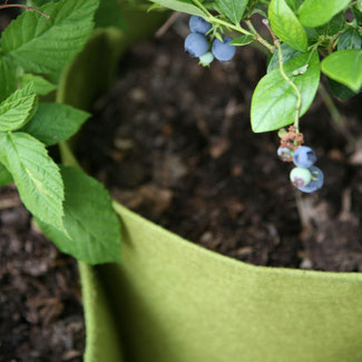 Urban Gardening Vigeroot Pflanzsäcke - Pflanztasche 10 Liter