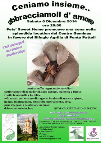 pets sweet home perugia