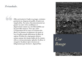 Livre, plaquette et exposition pour un producteur de safran