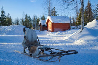 Lappland, Finnland, Finnisch Lappland, Die Traumreiser, Levi, Hundeschlitten, Schlittentour, Huskey, Huskies