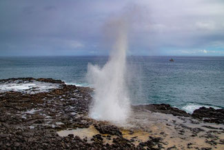 Spouting Horn, Kauai, Hawaii, USA, Die Traumreiser, 