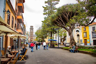 Teneriffa, Kanarische Inseln, Die Traumreiser, La Laguna,