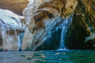 Oman, Arabien, Die Traumreiser, Wadi Shab, Oase, Fluss
