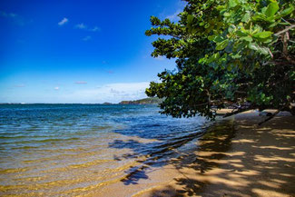 Anini Beach, Kauai, Hawaii, Die Traumreiser