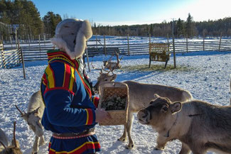 Lappland, Finnland, Finnisch Lappland, Die Traumreiser, Levi, Rentiere, Rentier Farm