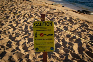 Poipu Beach Park, Kauai, Hawaii, USA, Die Traumreiser