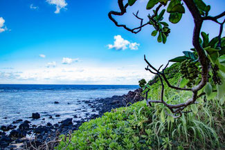 Larsen's Beach, Kauai, Hawaii, USA, Die Traumreiser