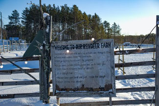 Lappland, Finnland, Finnisch Lappland, Die Traumreiser, Levi, Rentiere, Rentier Farm