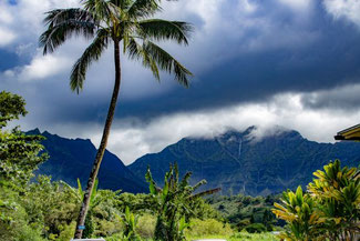 Kauai, Hawaii, USA, Vulkan, Berge, Palme, Die Traumreiser