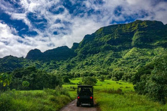 Kipu Ranch, Tour, Kauai, Hawaii, USA, Die Traumreiser