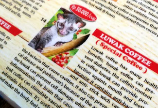 Der weltbekannte Luwak Kaffee