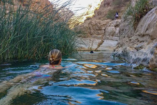 Oman, Arabien, Die Traumreiser, Wadi Shab, Oase, Fluss