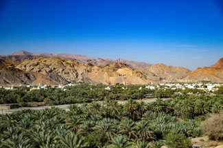Oman, Arabien, Die Traumreiser, Nizwa, Oase, Wüste