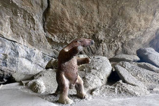 Mylodon, Patagonien, Südamerika, Chile, Die Traumreiser
