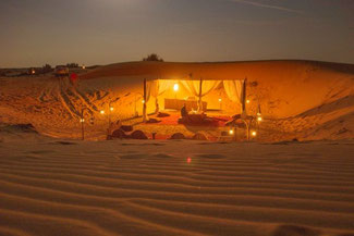 Dubai, VAE, UAE, Vereinigte Arabischen Emirate, Die Traumreiser,  Night Safari