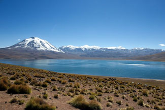 Atacama, Atacamawüste, Südamerika, Chile, Die Traumreiser