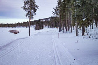 Lappland, Finnland, Finnisch Lappland, Die Traumreiser, Levi, Skifahren, Skigebiet, Langlauf
