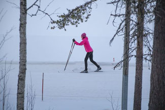 Lappland, Finnland, Finnisch Lappland, Die Traumreiser, Levi, Skifahren, Skigebiet, Langlauf