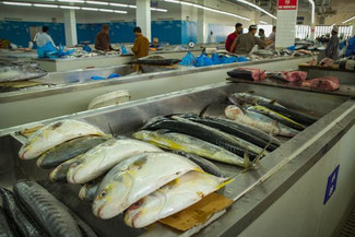 Oman, Arabien, Die Traumreiser, Mutrah Fischmarkt, Markt
