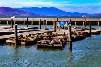 Pier 39, San Francisco, Kalifornien, USA