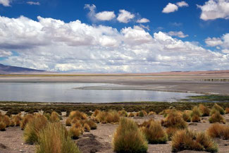 Tara, Saltflat, Salzebene, Atacama, Atacamawüste, Südamerika, Chile, Die Traumreiser