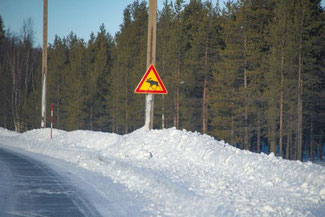 Lappland, Finnland, Finnisch Lappland, Die Traumreiser, Rentiere, Schild