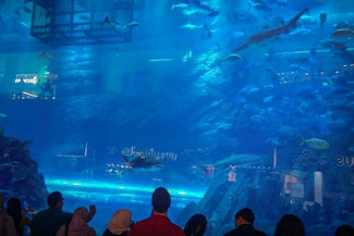 Dubai, VAE, UAE, Vereinigte Arabischen Emirate, Die Traumreiser, Mall of Dubai