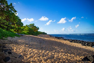 Larsen's Beach, Kauai, Hawaii, USA, Die Traumreiser