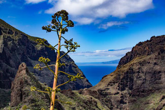 Teneriffa, Kanarische Inseln, Die Traumreiser, Masca, Masca Tal