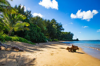 Anini Beach, Kauai, Hawaii, Nordküste, Die Traumreiser